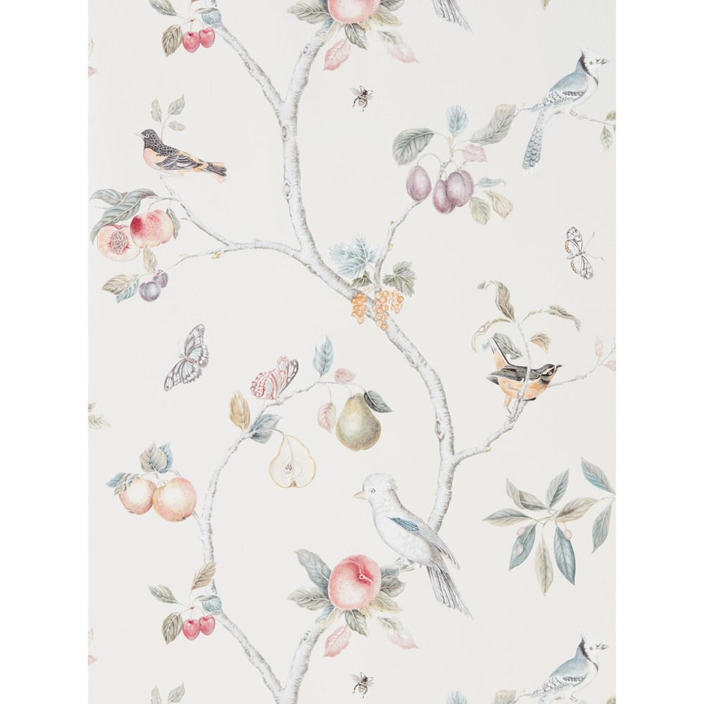 Fruit Aviary Wallpaper 216314 by Sanderson in Cream Multi